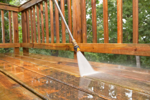 Best Roof Pressure Washing  in East Ithaca, NY