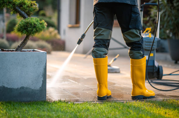 Best Affordable Pressure Washing  in East Ithaca, NY